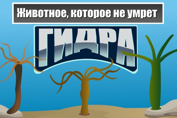 Кракен krk store com