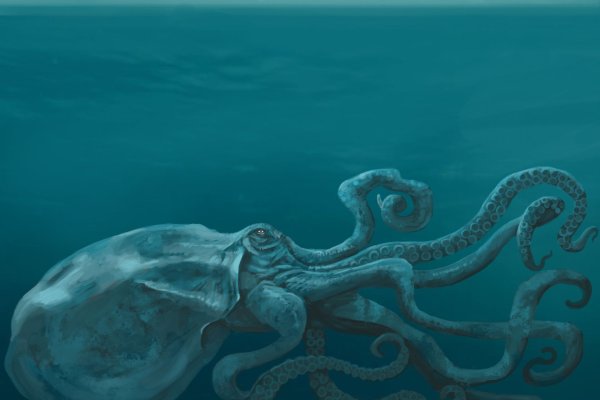 Кракен плейс