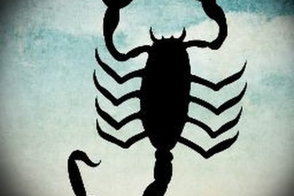 Krakin13 at