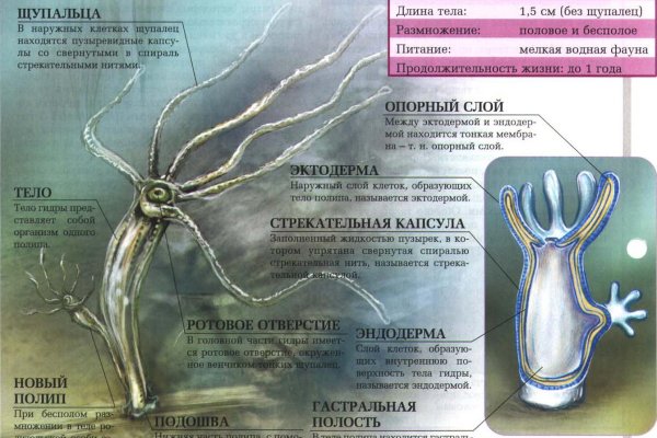Кракен площадка зеркало