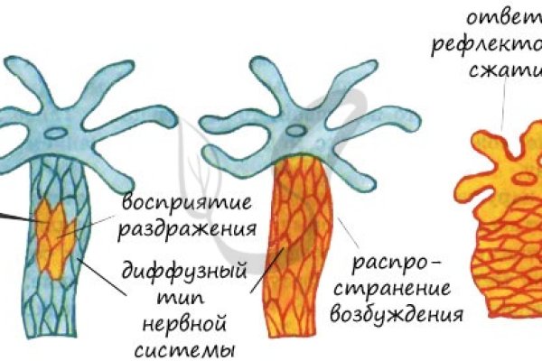 Кракен тор krakens13 at