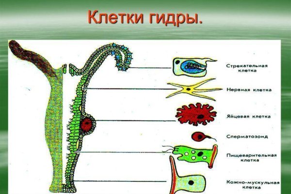 Кракен сайт store