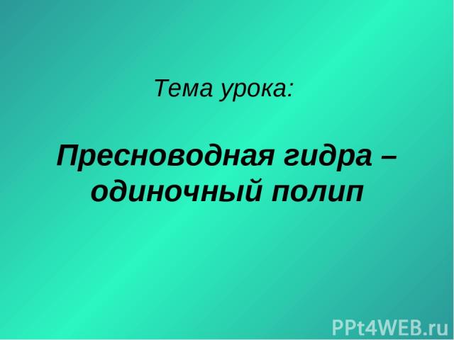 Как вывести деньги с кракена