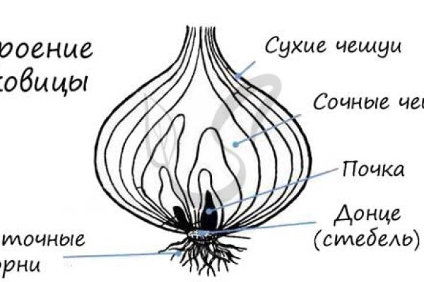 Kraken сайт kraken clear com