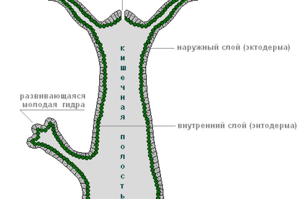 Кракен сайт 1kraken me вход