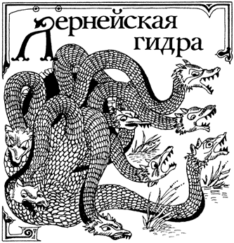 Кракен адрес тор