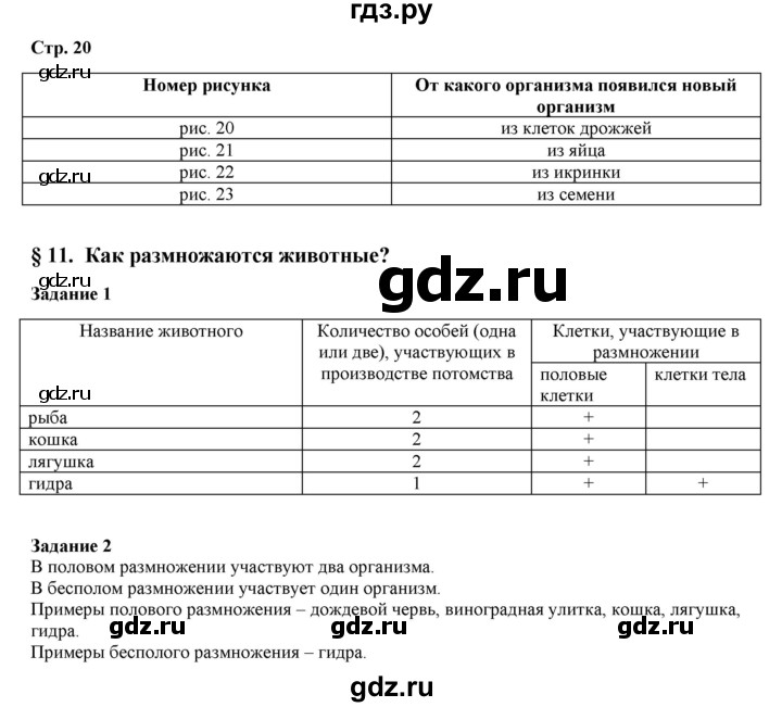 Замена гидры